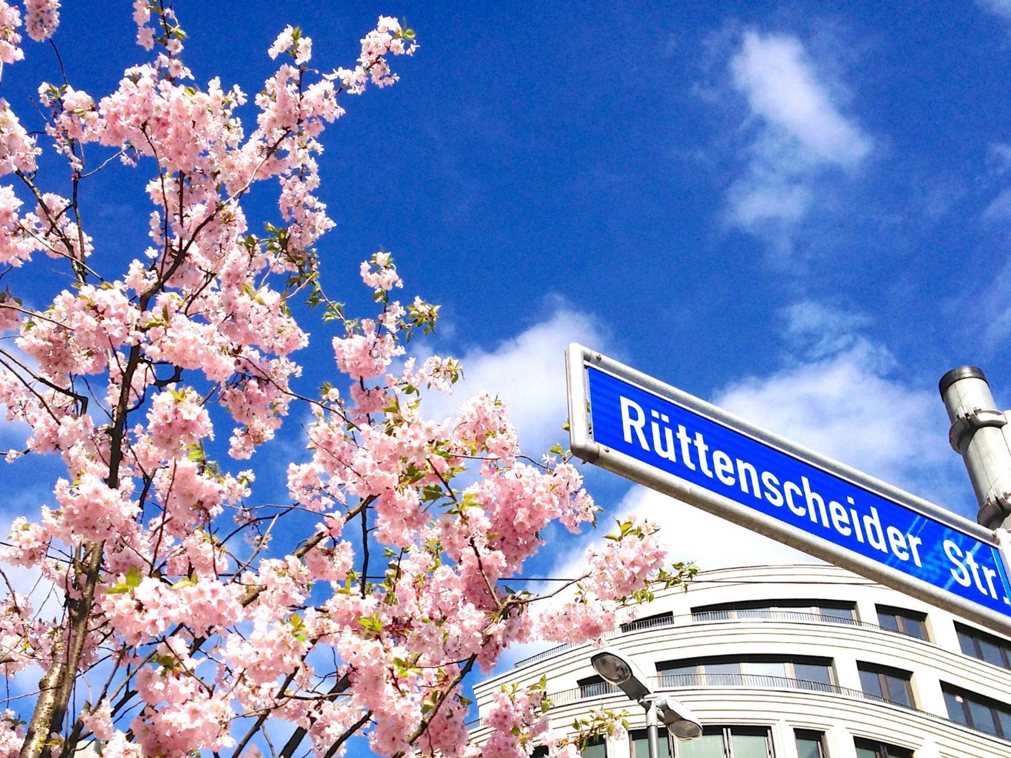 Rue Business & * Essen